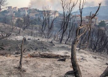 أمام هول الحرائق… هبة تضامنية تاريخية من الشعب الجزائري