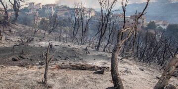 أمام هول الحرائق… هبة تضامنية تاريخية من الشعب الجزائري