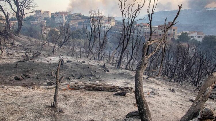 أمام هول الحرائق… هبة تضامنية تاريخية من الشعب الجزائري