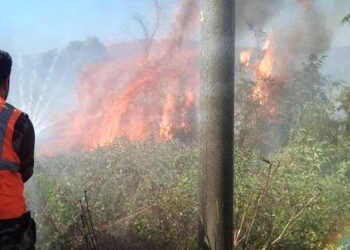 إخماد حريق قرب بلدة شين بريف حمص الغربي