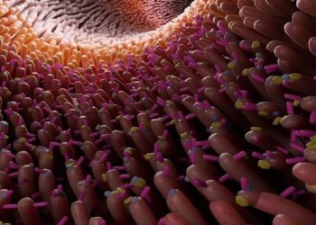 اكتشاف 140 ألف فيروس في أمعاء الإنسان