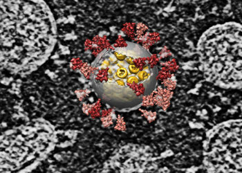 اكتشاف 16 سلالة جديدة لكورونا في كينيا