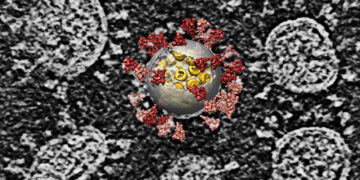 اكتشاف 16 سلالة جديدة لكورونا في كينيا