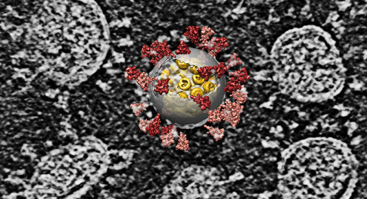 اكتشاف 16 سلالة جديدة لكورونا في كينيا