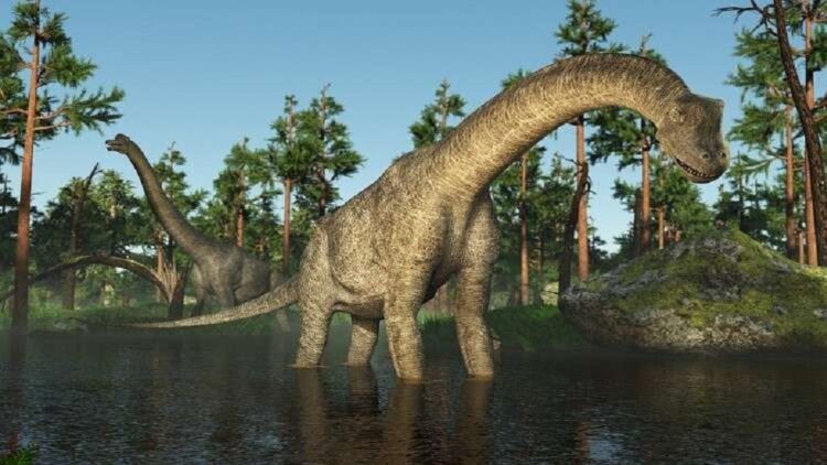 اكتشاف ديناصور عملاق في تشيلي