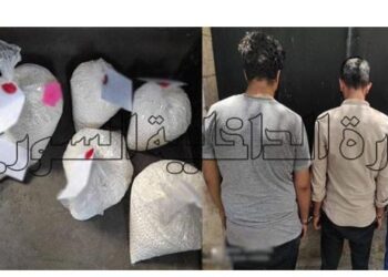 الأمن الجنائي يلقي القبض على سارق حبوب دوائية مخدرة!