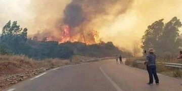 الجزائر تعلن الحداد.. وهبة تضامنية في وجه الحرائق