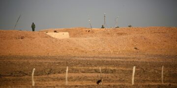 السنغال تقرر فتح قنصلية في الصحراء الخاضعة لسيطرة المغرب