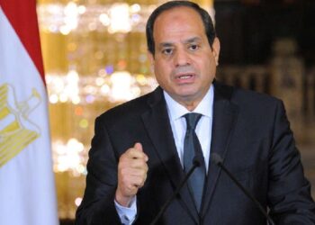 السيسي: نرفض أي إجراء يمس بحقوق مصر في مياه النيل