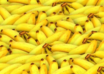 العلاقة بين الموز و فقدان الوزن …