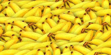 العلاقة بين الموز و فقدان الوزن …