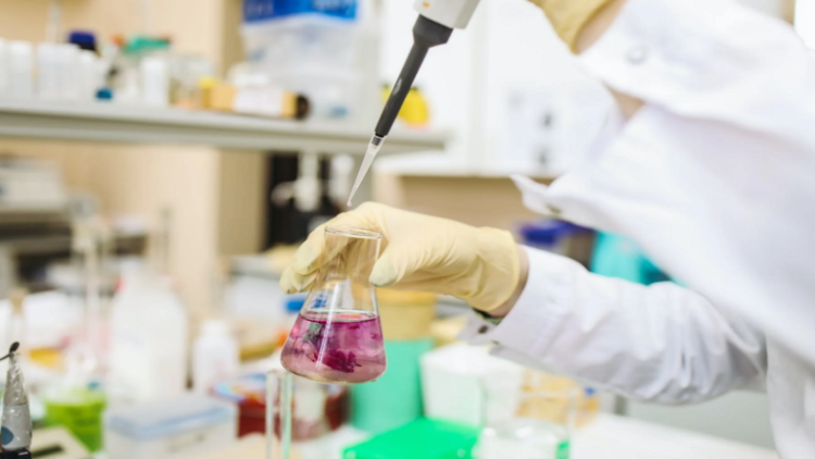 الكشف عن مواد كيميائية في دم الحوامل لم يُبلّغ عنها سابقا لدى البشر!