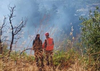 اندلاع حريق في أشجار مثمرة وحراجية بريف حمص!