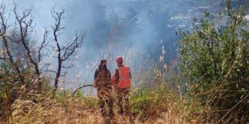 اندلاع حريق في أشجار مثمرة وحراجية بريف حمص!