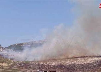 اندلاع حريق في حراج جورين بريف حماة جراء اعتداءات إرهابية