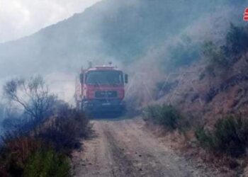 اندلاع حريق في حراج عين الحلبة التابعة لوادي العيون بريف حماة