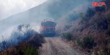 اندلاع حريق في حراج عين الحلبة التابعة لوادي العيون بريف حماة