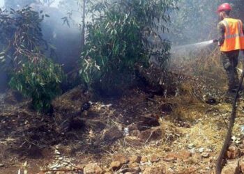 اندلاع حريقين طالا أشجاراً مثمرة وحراجية بريف حمص