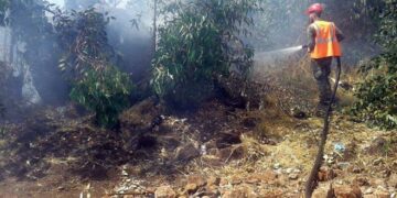 اندلاع حريقين طالا أشجاراً مثمرة وحراجية بريف حمص