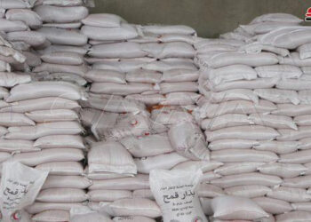 بيع بذار القمح والشعير للفلاحين في الحسكة