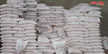 بيع بذار القمح والشعير للفلاحين في الحسكة