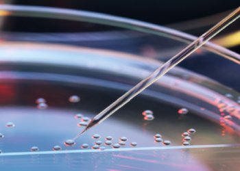 تجربة إنشاء “مزيج هجين” من خلايا البشر والقردة!