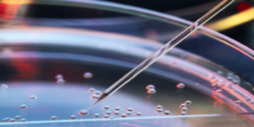 تجربة إنشاء “مزيج هجين” من خلايا البشر والقردة!