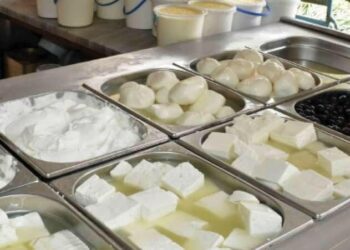 تجميد القرار المتعلق بضوابط منتجات الألبان والأجبان!