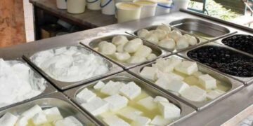 تجميد القرار المتعلق بضوابط منتجات الألبان والأجبان!