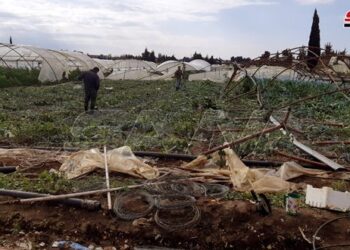 تعويض الفلاحين المتضررين من الظروف الجوية بطرطوس