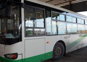 تكثييف تسيير باصات النقل الداخلي لتأمين نقل المواطنين