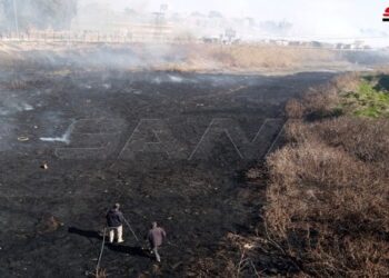 حريق في الأحراش المحيطة بنهر الخابور في الحسكة