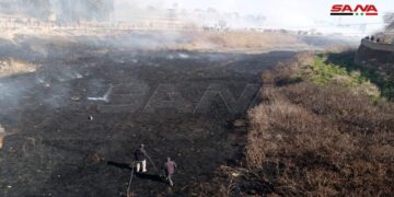 حريق في الأحراش المحيطة بنهر الخابور في الحسكة