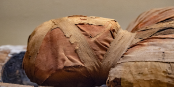 حل لغز جريمة قتل “تاكابوتي”..