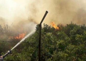 حمص: العمل على إخماد حريق امتد من الأراضي اللبنانية نحو مركز جسر قمار الحدودي