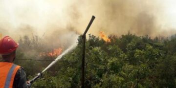 حمص: العمل على إخماد حريق امتد من الأراضي اللبنانية نحو مركز جسر قمار الحدودي