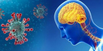 دماغ الإنسان المصاب بكورونا قد يكون عرضة لتلف الأوعية الدموية
