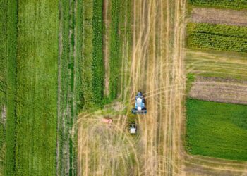 ( زراعة المشروعات )