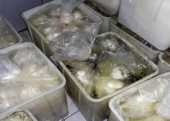 ضبط معمل ألبان وأجبان يحوي كميات من الجبنة غير صالحة للاستهلاك البشري