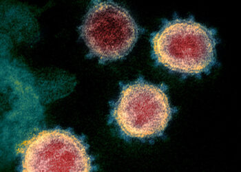 عالم فيروسات يتحدث عن فئة من البشر غير معرضة لخطر الإصابة بكورونا