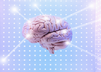 فترات الراحة القصيرة قد يساعد عقولنا على تعلم مهارات جديدة!