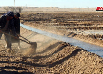 فلاحو دير الزور يزرعون أراضيهم بالقمح