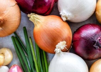 فوائد “مذهلة” للبصل.. وسر علاقته بـ”الفطر الأسود” في مصر