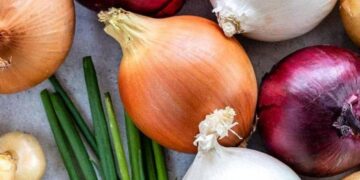 فوائد “مذهلة” للبصل.. وسر علاقته بـ”الفطر الأسود” في مصر