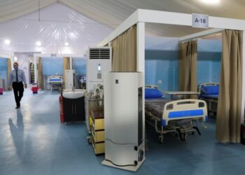 كشف خطورة الفطريات التي تصيب الإنسان..