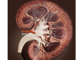 كيف نحمي الكلى من “كوفيد-19″؟