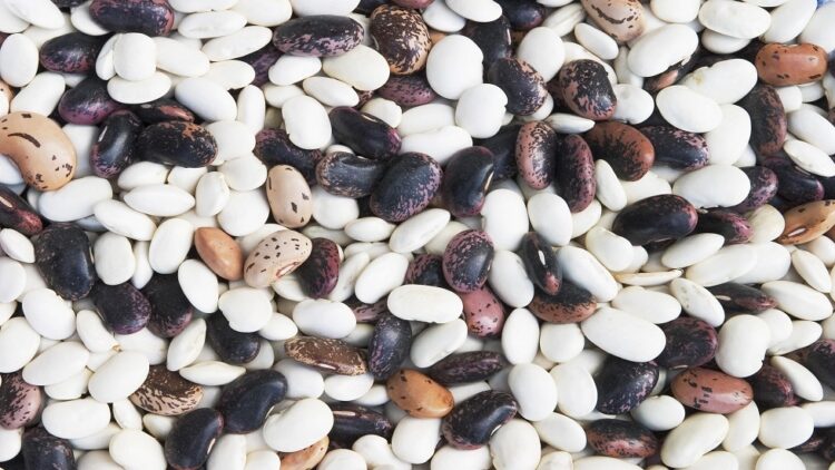 ماهي فوائد تناول الفاصوليا للجسم؟