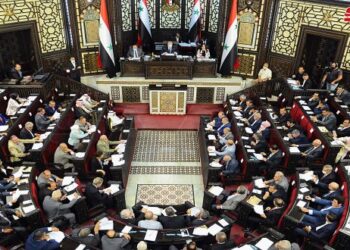 مجلس الشعب يقر مشروع القانون الخاص بحقوق الطفل