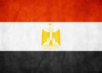 مصر.. رأس ماشية وكابل كهرباء كادا يتسببان في كارثة