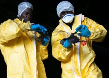 مكتشف إيبولا يتحدث عن سبب انتشار الأمراض